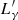 $ L^\prime_{\gamma} $