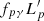 $ f_{p\gamma}L^\prime_p $
