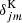 $ \delta^{\mathrm{K}}_{jm} $