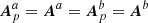 $ {\boldsymbol{A}}_p^a = {\boldsymbol{A}}^a={\boldsymbol{A}}_p^b={\boldsymbol{A}}^b $