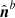 $ {\hat{{\boldsymbol{n}}}^{b}} $