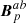 $ \boldsymbol{B}_{p}^{ab} $