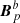$ \boldsymbol{B}_{p}^{b} $