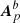$ \boldsymbol{A}_{p}^{b} $