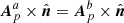$ {{\boldsymbol{A}}_{p}^{a}}\times{\hat{{\boldsymbol{n}}}}={{\boldsymbol{A}}_{p}^{b}}\times{\hat{{\boldsymbol{n}}}} $
