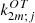 $ k^{OT}_{2m;j} $