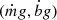 $ (\dot{m}g,\dot{b}g) $