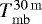 $T^{\mathrm{30\,m}}_{\mathrm{mb}}$