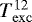 $T_{\mathrm{exc}}^{12}$
