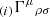 $ _{(i)}{\Gamma^{\mu}}_{\rho \sigma} $