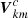 $ \boldsymbol{V}^{c}_{km} $