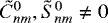 $\tilde{C}^0_{nm}, \tilde{S}^0_{nm}\neq 0$