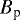 $B_{\textrm{p}}$