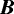 $\bm{B}$