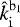 $\hat{k}^{\mathrm{b}_1}_{\mathrm{i}}$