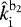 $\hat{k}^{\mathrm{b}_2}_{\mathrm{i}}$