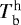 $T_{\textrm{b}}^{\textrm{h}}$