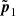 $ \tilde{\boldsymbol{p}}_1 $
