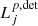 $ L_j^{p,{\rm det}} $