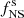 $ f_\mathrm{NS}^\mathrm{s} $