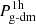 $ P_{\text{g-dm}}^{\text{1h}} $