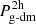 $ P_{\text{g-dm}}^{\text{2h}} $