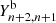 $ Y^{\mathrm{b}}_{n+2,n+1} $