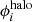 $ \phi_{i}^{\mathrm{halo}} $