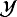 $\mathcal{Y}$