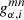 $ g_{\alpha,i}^{mn} $