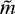 $\tilde{m}$