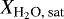 $X_{\textrm{H}_2\textrm{O, sat}}$