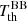 $ T_{\mathrm{th}}^{\mathrm{BB}} $