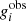 $ g^{\rm obs}_i $