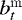 $b^{\mathrm{m}}_t$