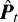 $\bm{\hat{P}}_t$