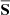$ {\overline{\mathsf{\mathbf{S}}}} $