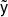 $ \tilde{\mathsf{y}} $