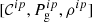 $ [{\mathcal{C}}^{ip}, P_{\mathrm{g}}^{ip}, \rho^{ip}] $