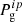 $ P_{\mathrm{g}}^{ip} $