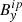 $ B_{\mathit{y}}^{ip} $