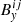 $ B_{\mathit{y}}^{ij} $