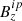 $ B_z^{ip} $