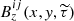 $ B^{ij}_z(x,\mathit{y},\widetilde{\tau}) $