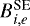 $B_{i,e}^{\textrm{SE}}$