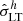 $ \hat{\sigma}_{\mathrm{LT}}^h $