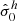 $ \hat{\sigma}_0^{h} $