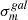 $ \sigma_{\mathit{m}}^{\mathit{gal}} $