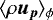$\langle \rho \vec{u}_{\vec{p}} \rangle_{\phi}$