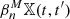 $ \beta^{M}_n \mathbb{X}(t,t^\prime) $